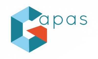 GAPAS - POLE DEFICIENCES VISUELLES - SAFEP